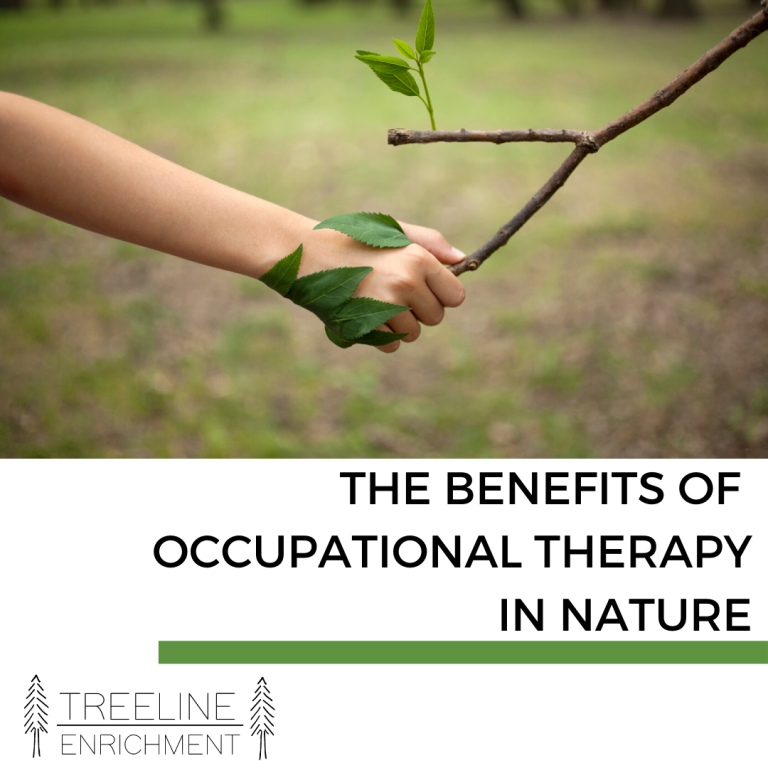 Why we do occupational therapy in nature?