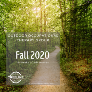 graphic highlighting outdoor OT group fall 2020