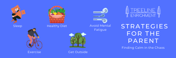 Finding Calm in Chaos: Graphic of parent calming strategies