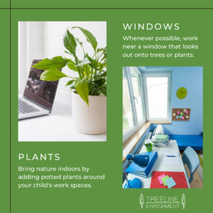 e-learning tip: plants and windows