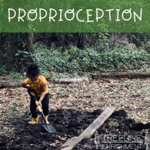 proprioception sensory system in nature picture