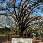 image of a TimberNook banner at a Treeline field trip