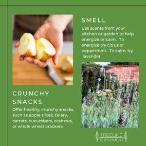 graphic of snacks and smell tips