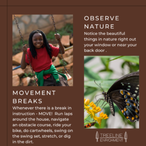 graphic for movement and nature observation