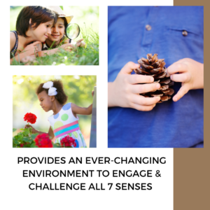 children using senses to explore nature