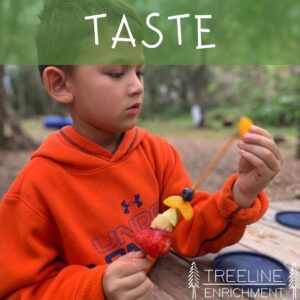 taste sensory system picture child with fruit