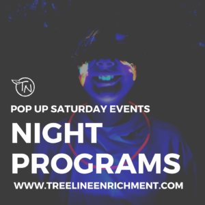 Night programs graphic