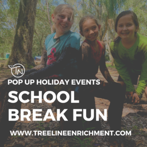 TimberNook West Central Florida School break graphic