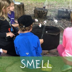 smell sensory system picture of children cooking over a fire