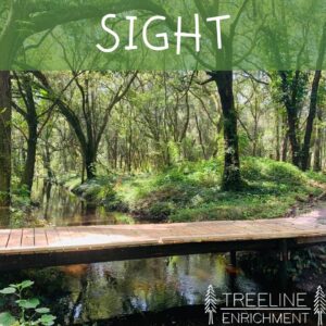 Sight sensory system image of nature