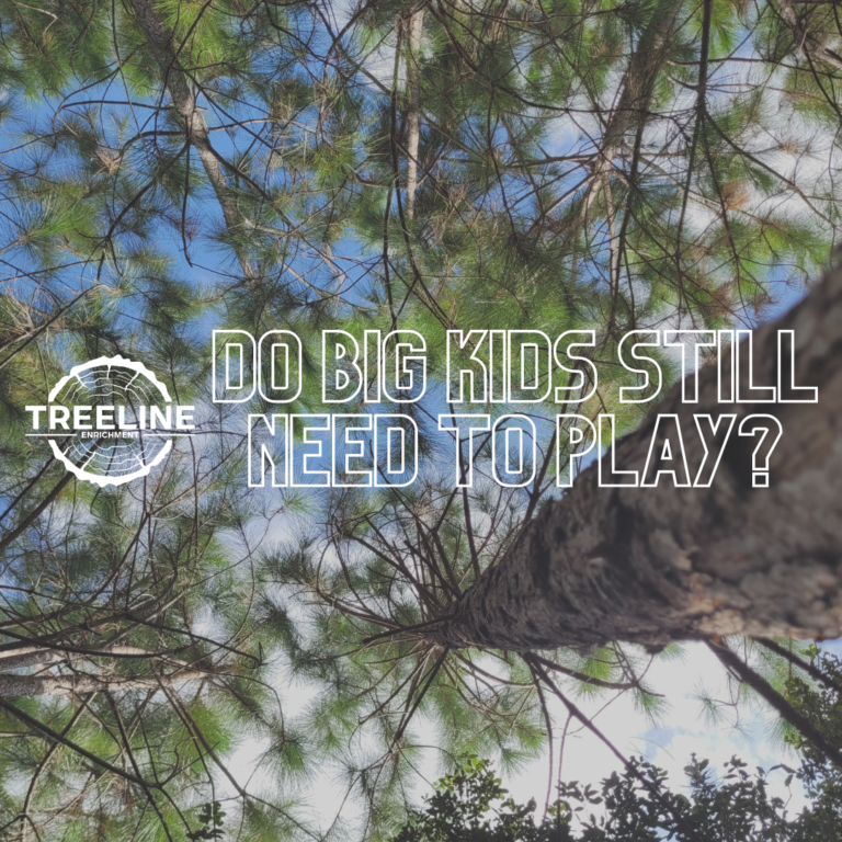 Do Big Kids Still Need to Play?