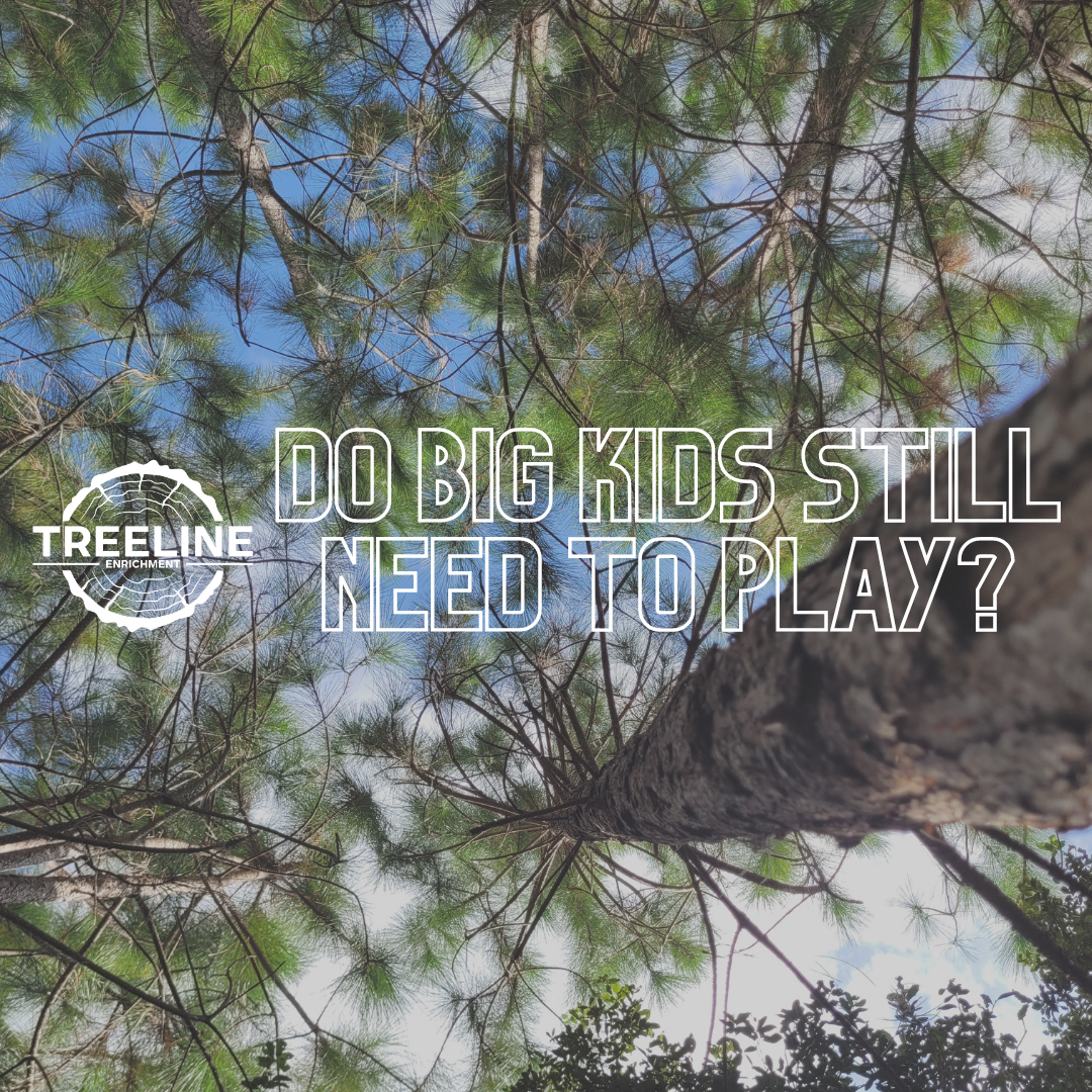 image looking up a pine tree with text "do big kids need to play?"
