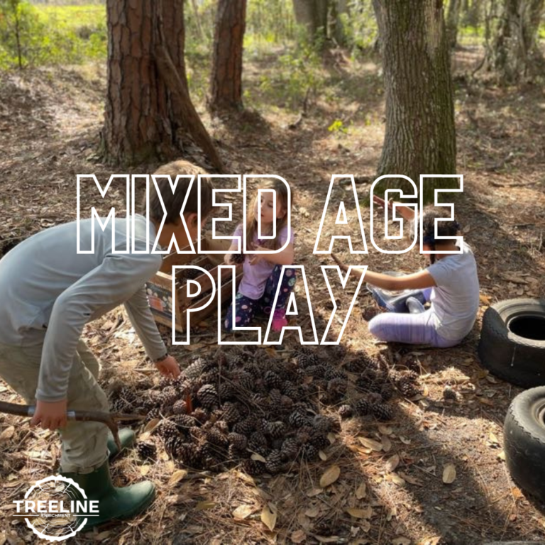 Benefits of Mixed-Age Play