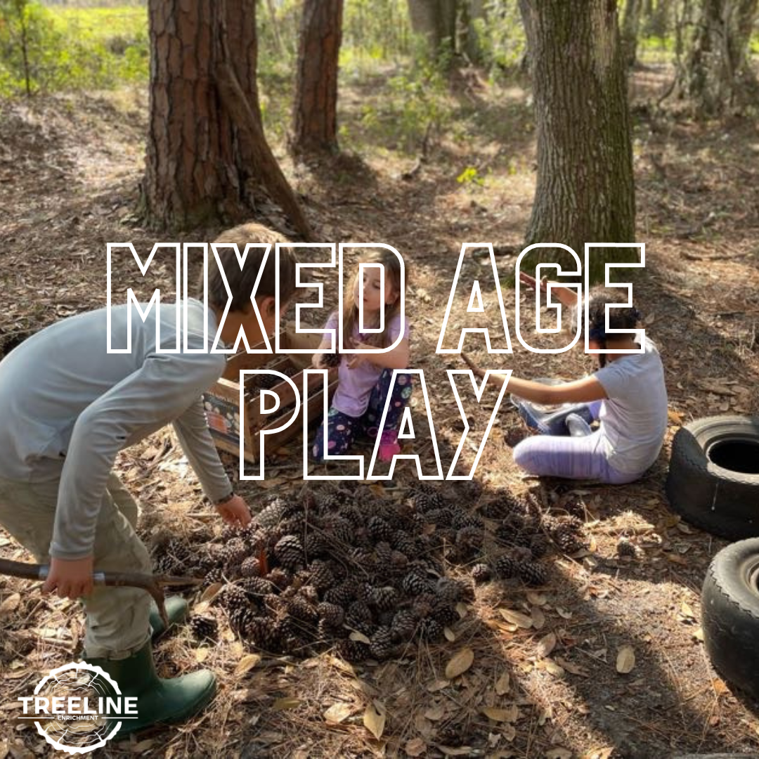 photo of children of mixed ages playing in the forest with the text "mixed age play" over top