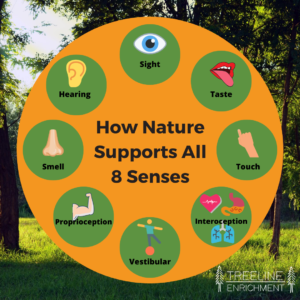 Nature supports all 8 senses graphic