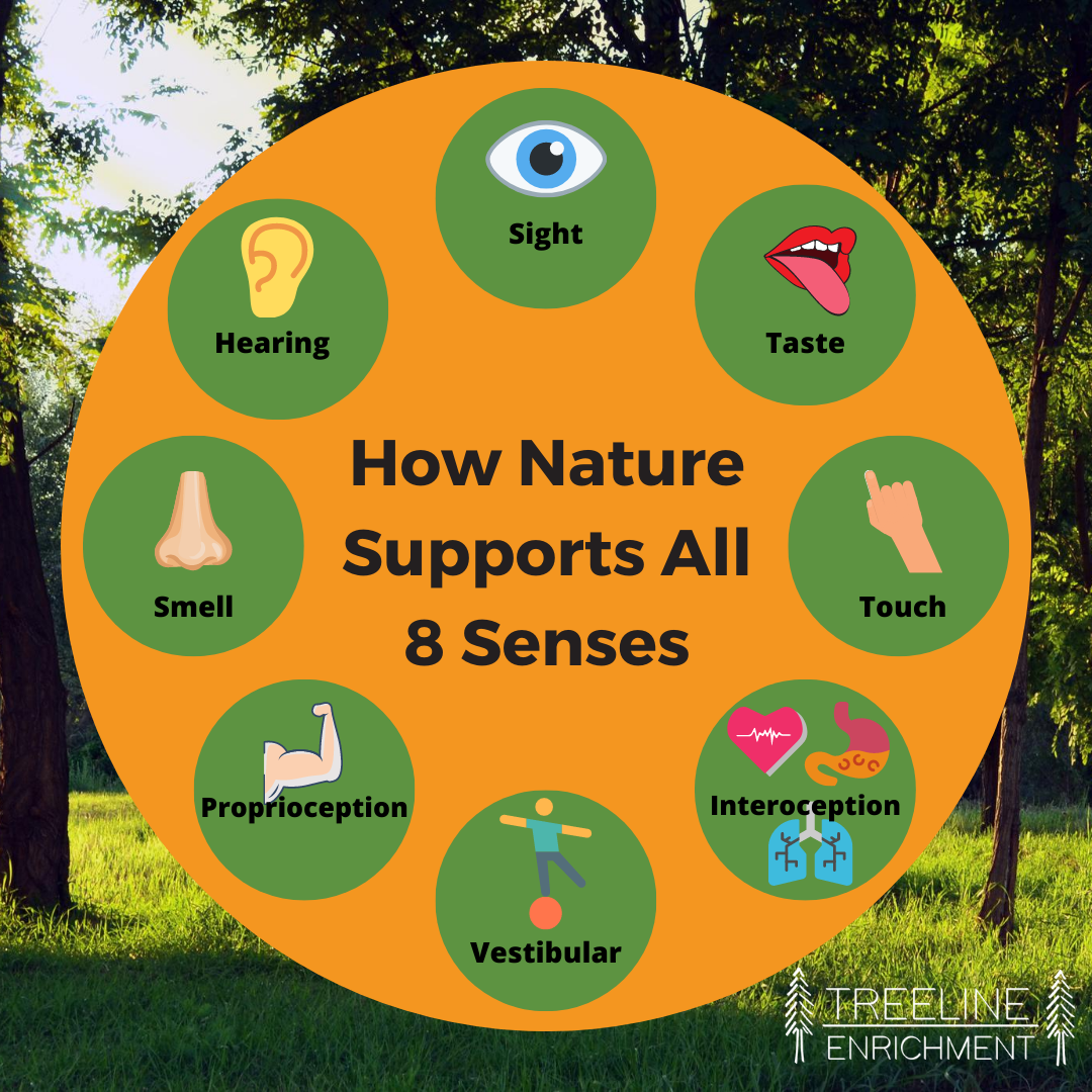 Nature Supports All 8 Senses - Enrichment
