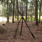 Treeline site - teepee made of sticks in the woods