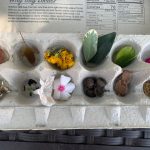 outdoor early childhood learning idea: sorting