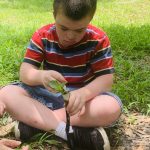 outdoor occupational therapy for kids - child making a natural paint brush