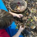 child playing in the leaves