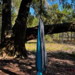 hammock swing in a tree