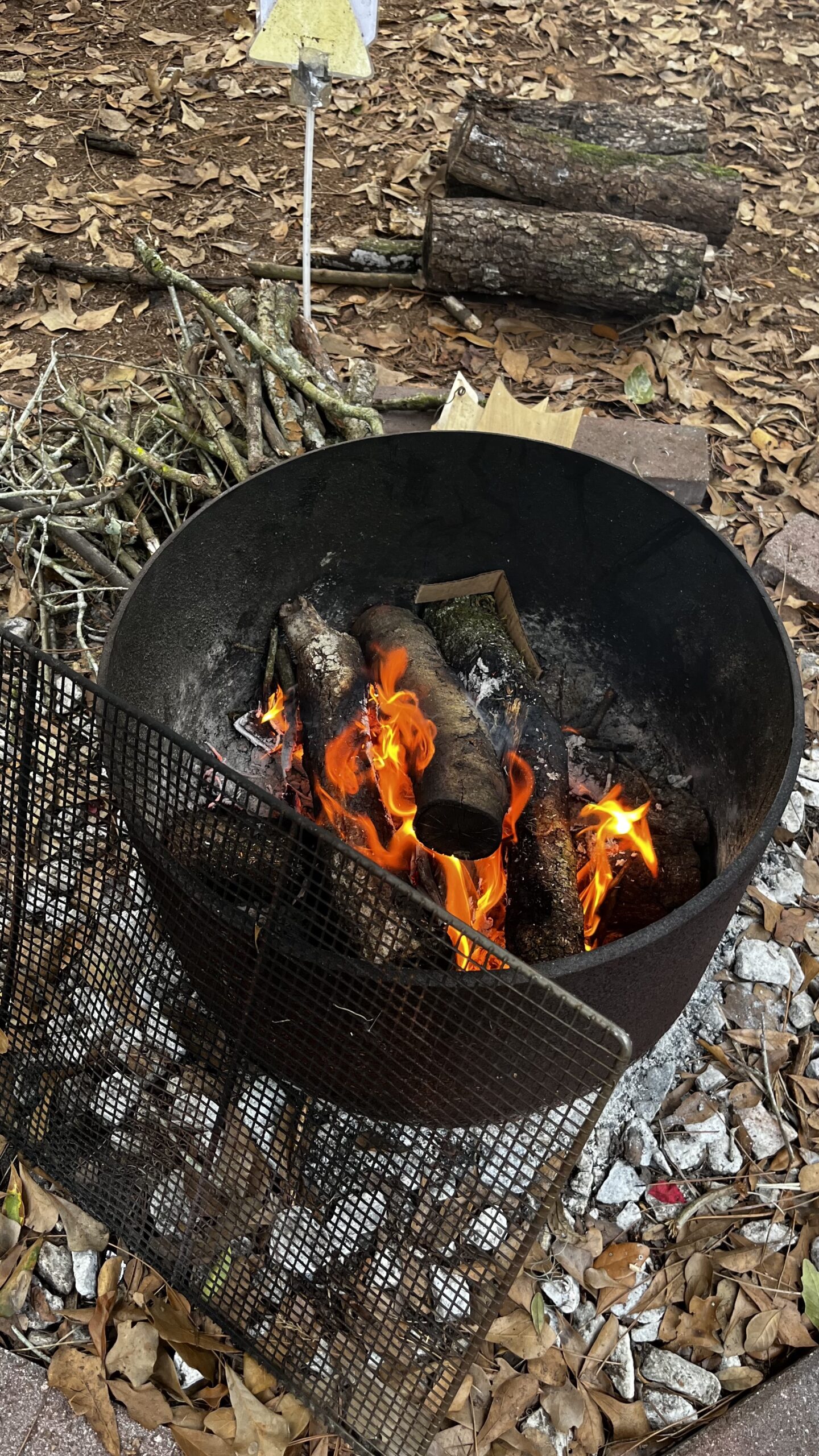 fire pit use for birthday party