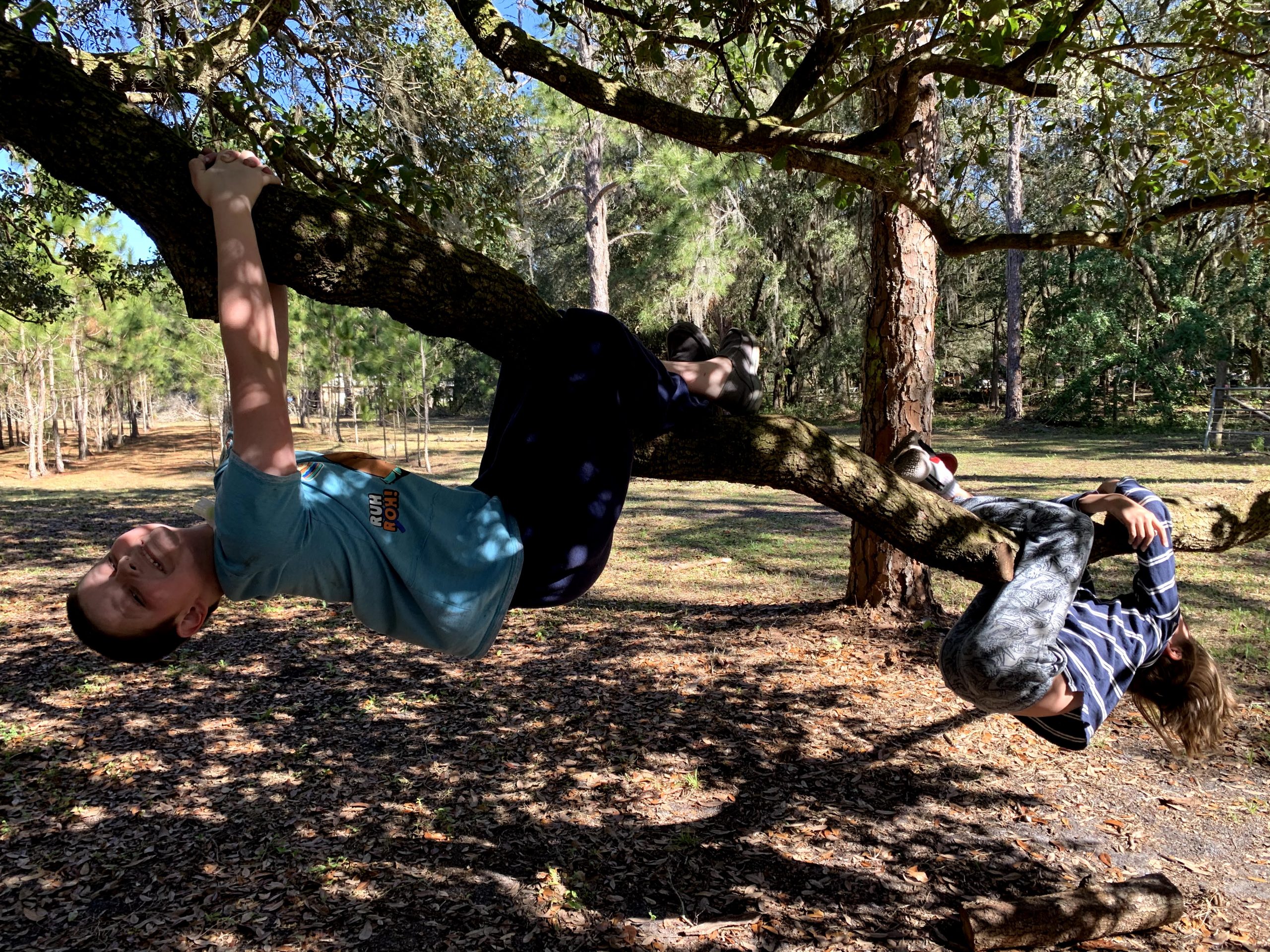 tree climbing during Occupational therapy