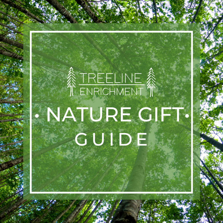 Nature-Inspired Gift Guide