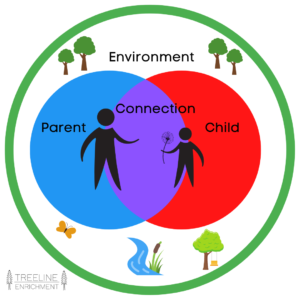 Finding Calm in Chaos: Graphic showing parent, child, environment connection