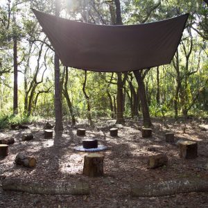 Treeline site = stump circle with fire pit