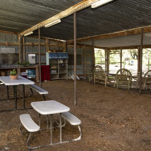 Treeline open air pole barn