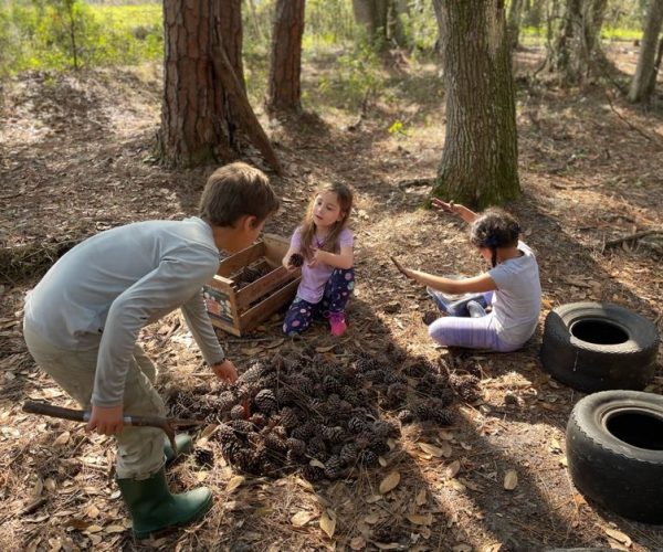 photo of 3 children in the forest of mixed ages interacting through play