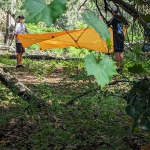 big kids building shelters in the forest