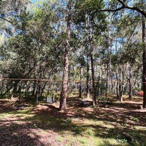 image of "the cove" area of the Treeline woods
