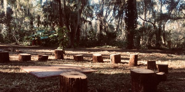 fire circle stump circle