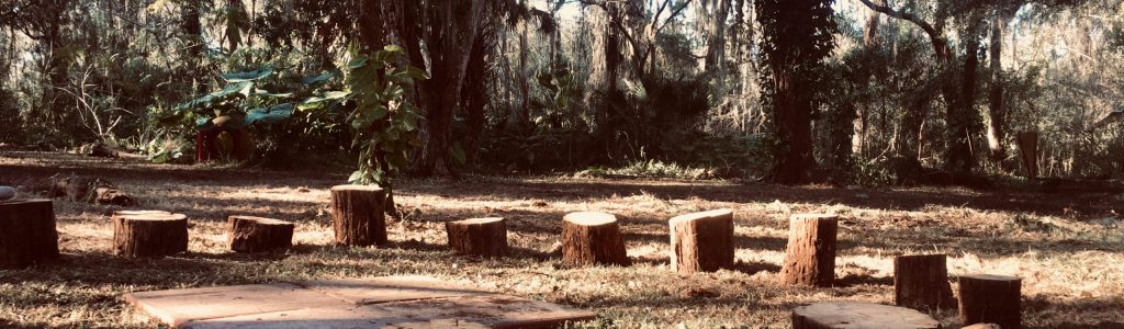 fire circle stump circle
