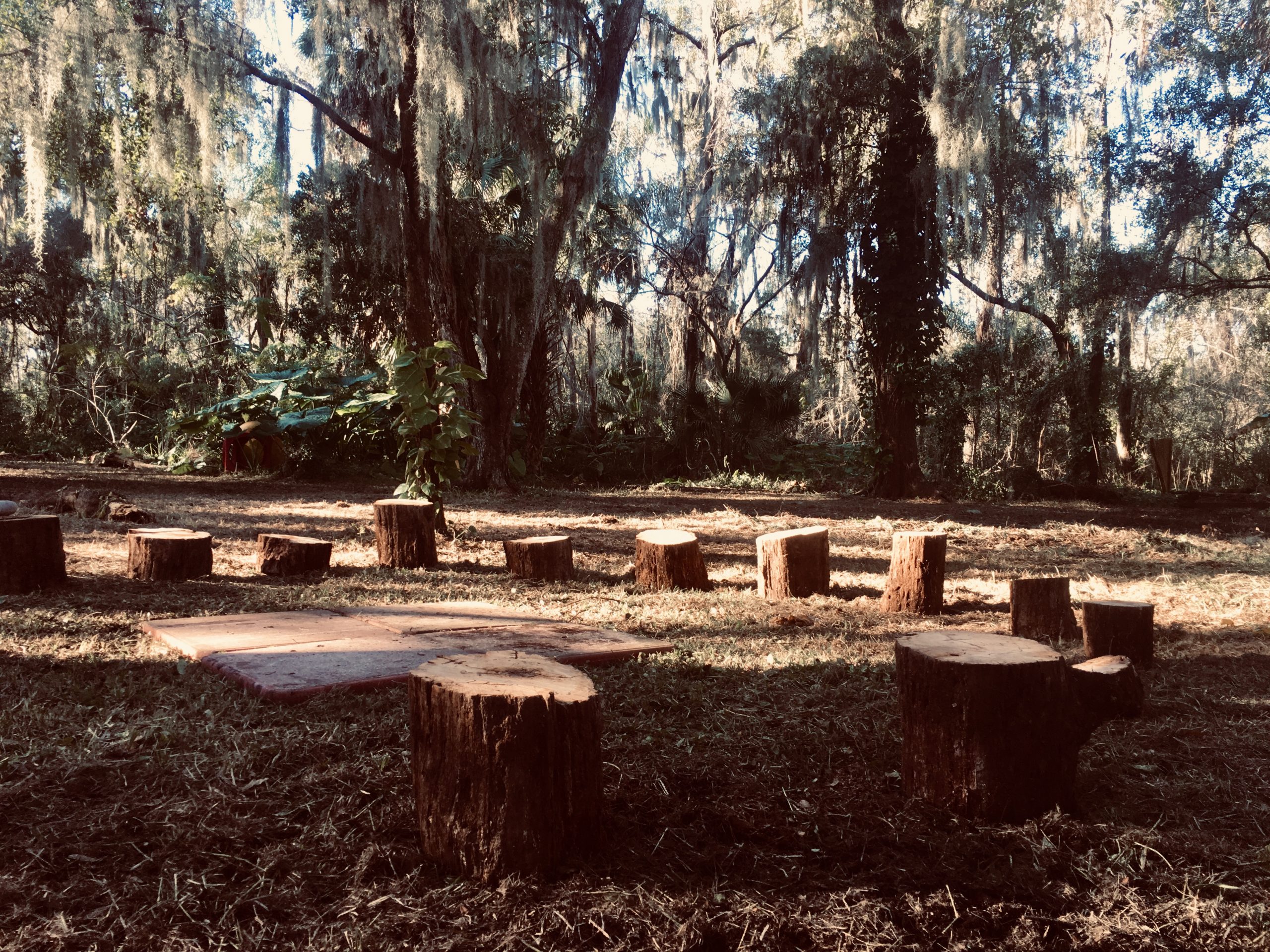 stump circle