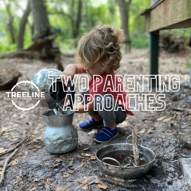 The Hummingbird and the Helicopter: Two Approaches to Parenting