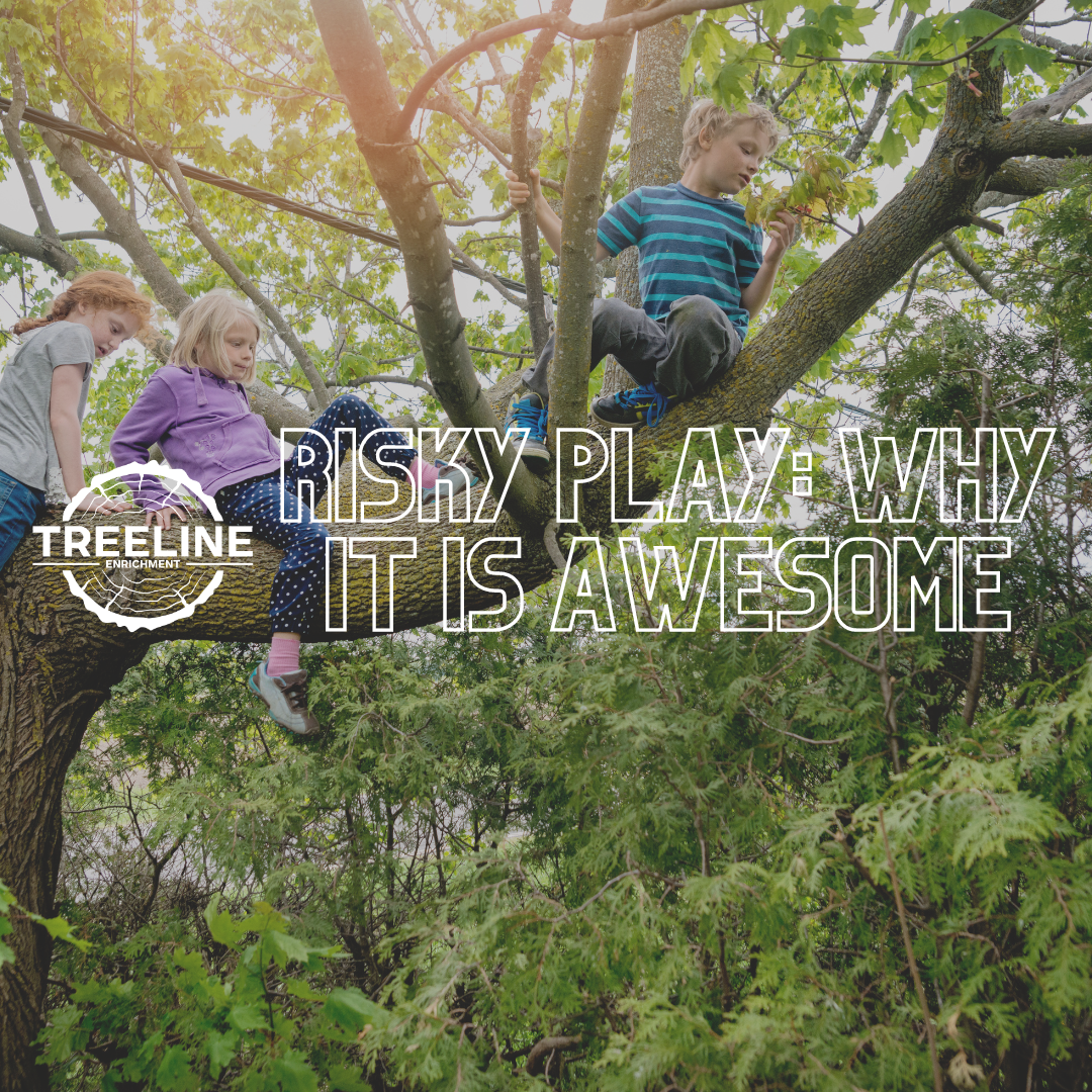 image of kids climbing a tree with blog title text overlayed